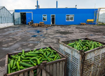 The existing agricultural complex in Kherson